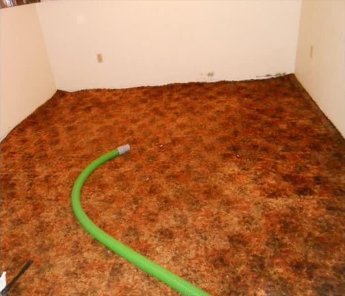 orange carpet wet, green hose removing remaining pooling water, small room