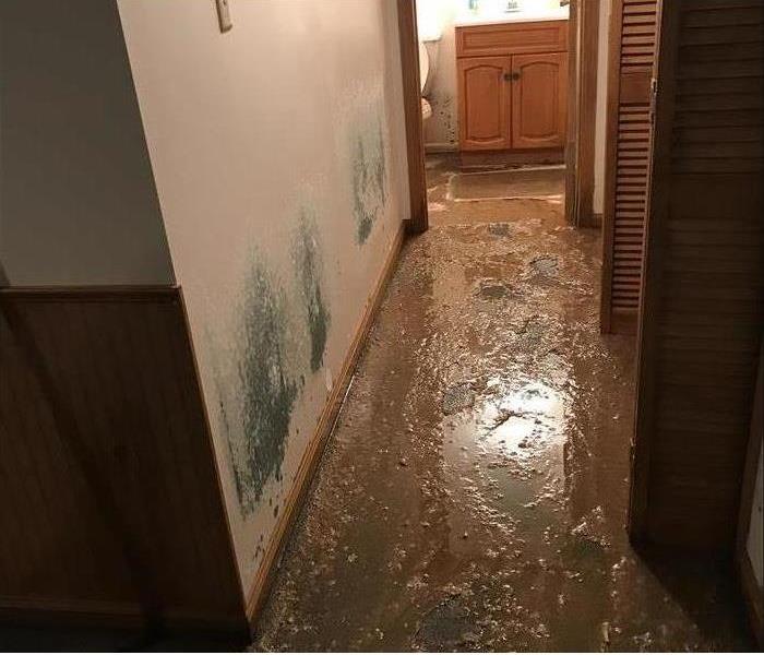 mud-filled hallway, mold stained walls