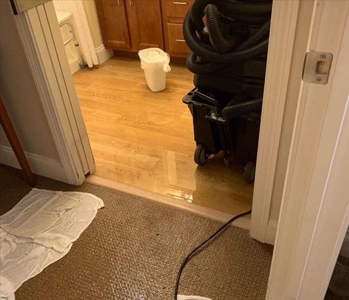 water-soaked carpet and water in bathroom floor