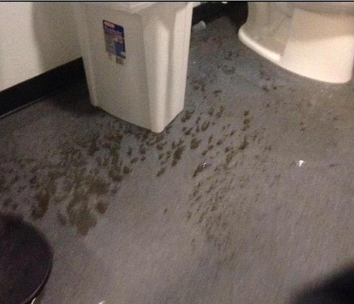 sewage stains on restroom floor